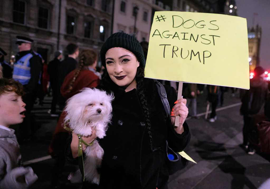 Dogs against Trump